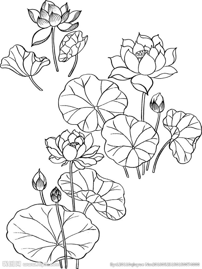 10:27:06莲花专辑小心啊蜡笔小兴啊同采自www