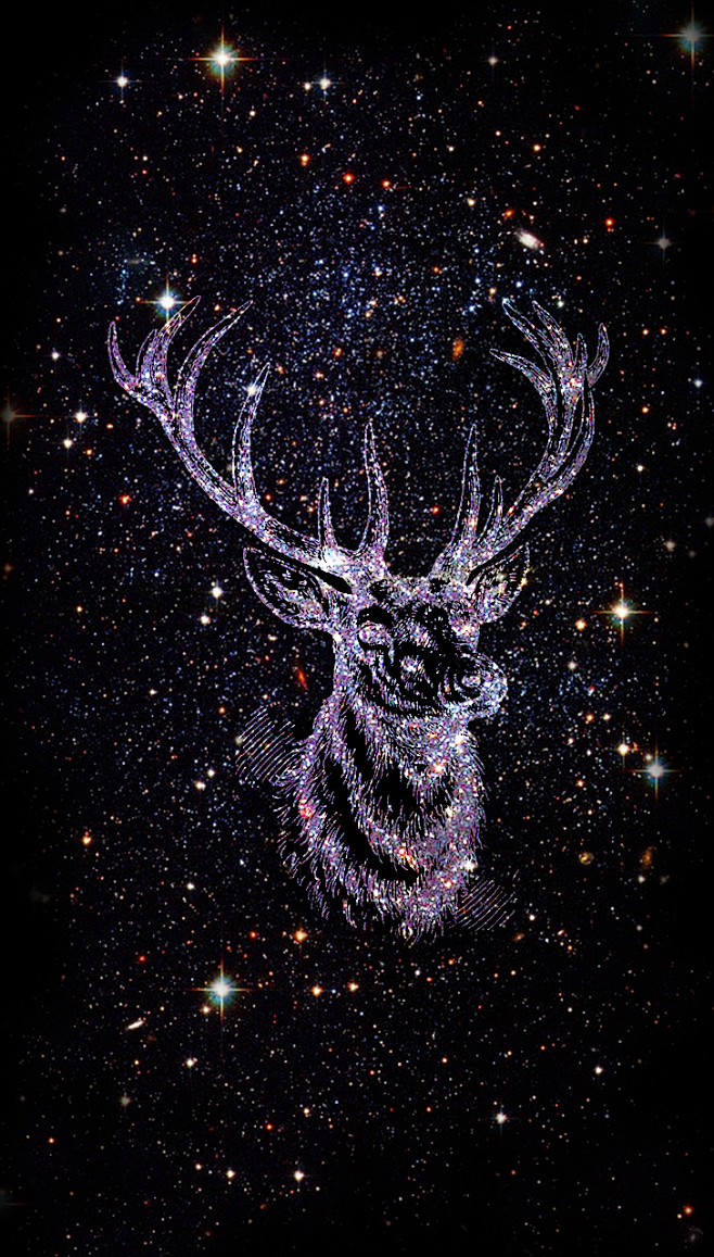 星空麋鹿