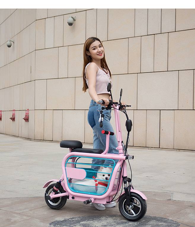 迷你电动折叠车成人代步锂电池自行车亲子男女双人遛狗电瓶车代驾淘宝