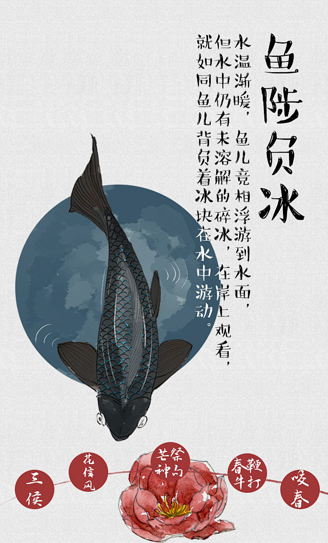 24节气系列h5立春三侯鱼陟负冰本张参考插画师小普72物候系列