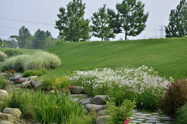 wanglinzheng从_yay鱼转采于2021-01-20 11:29:24旱溪花境植物景观