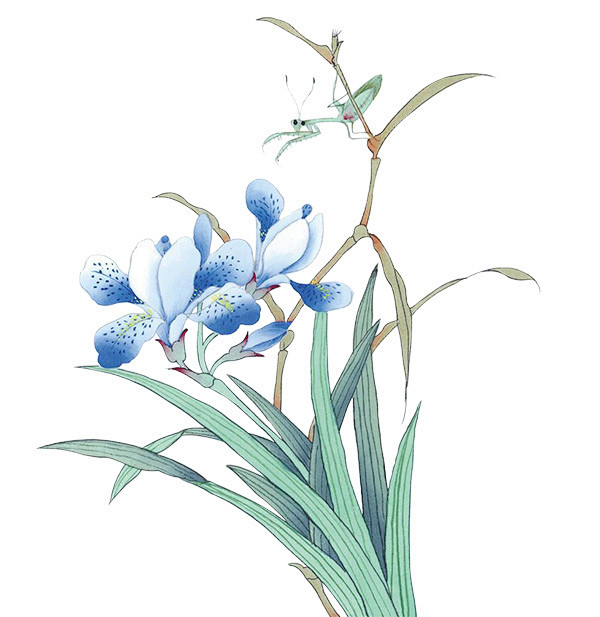 工笔画兰花
