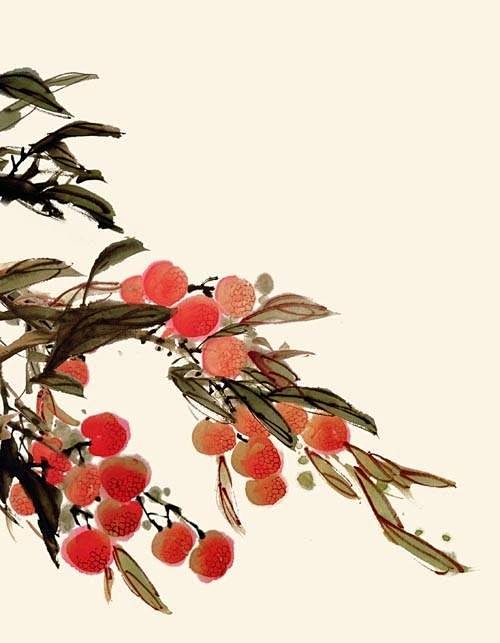 国画荔枝图