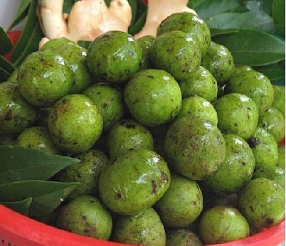 仁面果别名叫冷饭团很难结果未成熟的青果牙口好的人吃上几个就会觉得