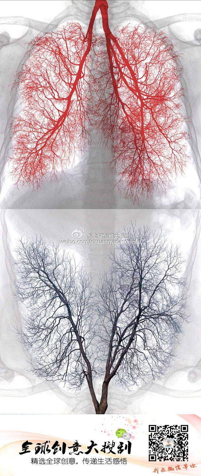全球创意大搜刮一棵树的创意树与人体肺之间的关系通过思考我尝试将这