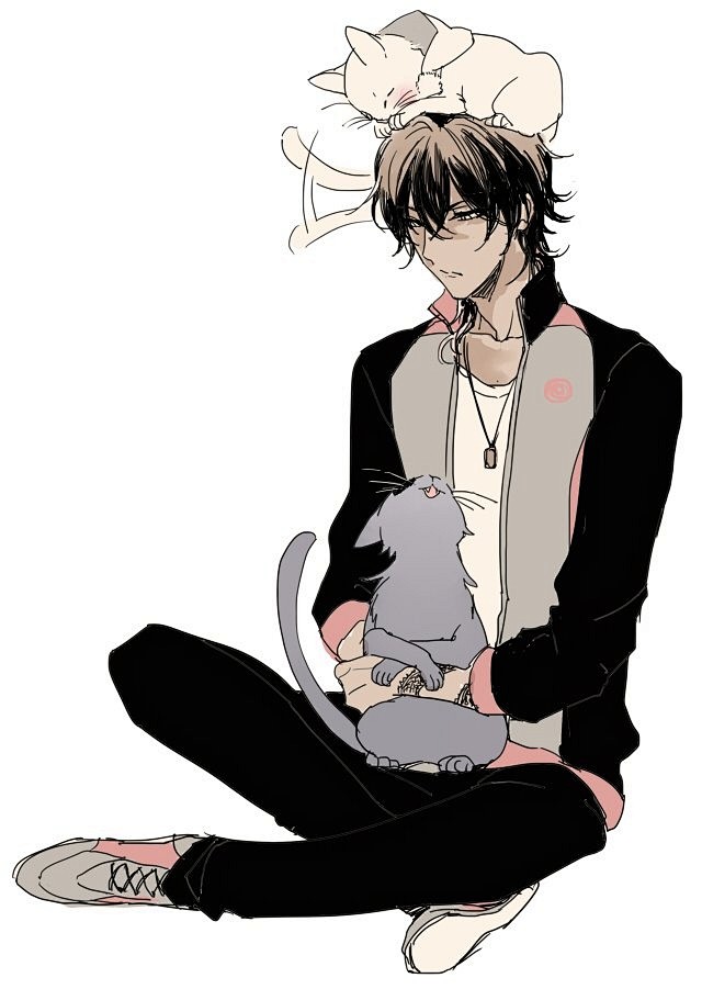 猫奴