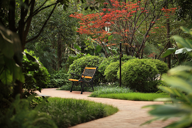 龙湖花千树一期