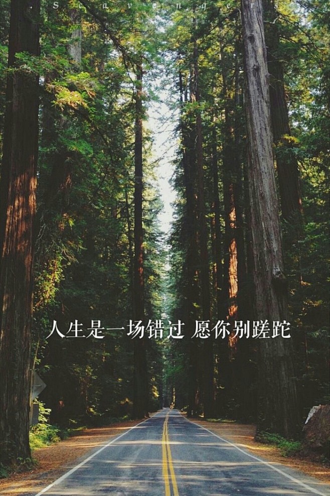 经典语录心情文字心灵鸡汤人生感悟