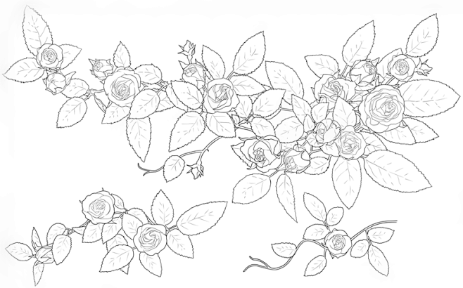 32种日漫风格花与叶透明线稿笔刷优动漫动漫创作支援平台