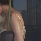 -柳叶君