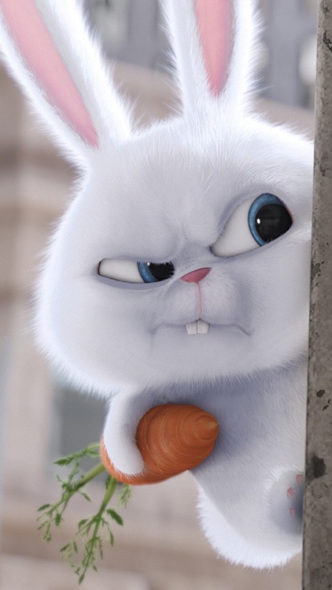 爱宠大机密高清手机壁纸无水印