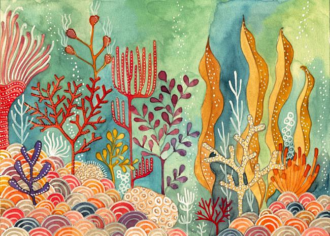 风铃～从小尾巴2014转采于2019-12-31 17:08:50珊瑚插画风铃～同采自