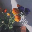 3dmhxlaA