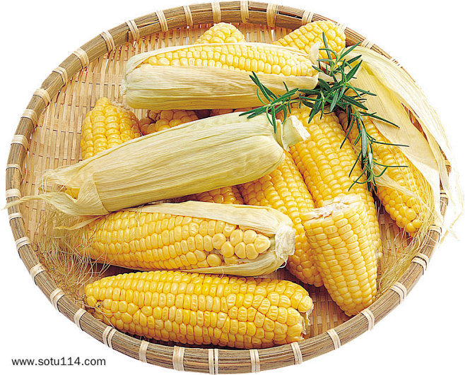 hj11玉米品种图片