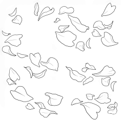 栩』@线稿-花瓣网|陪你做生活的设计师 | 【素材】花99花びら 线画