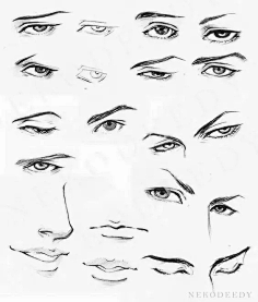 绘画