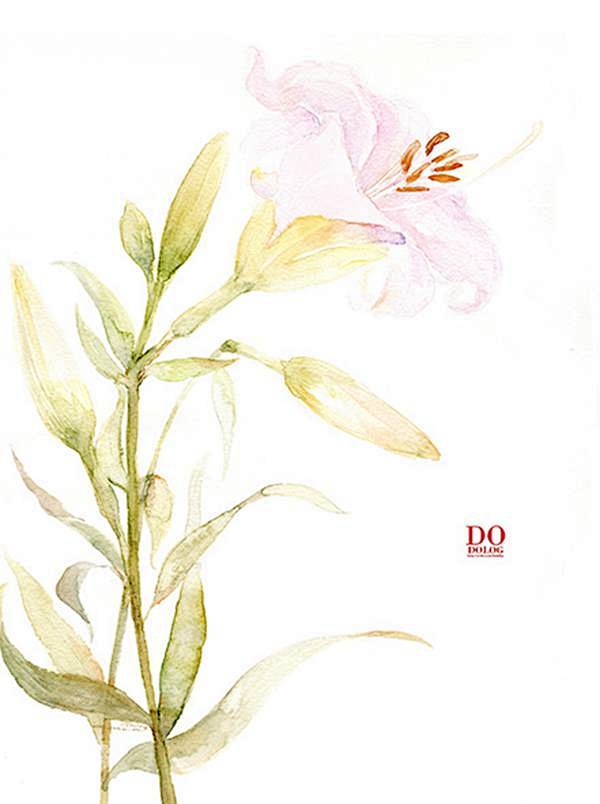 dodolog清新手绘花朵清新水彩投稿原创漫画原创插画原创手绘中国风