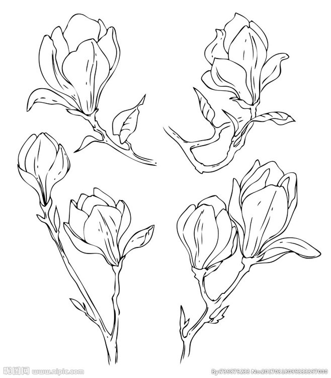 com该采集也在以下画板加载更多