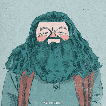海格哈利波特插画