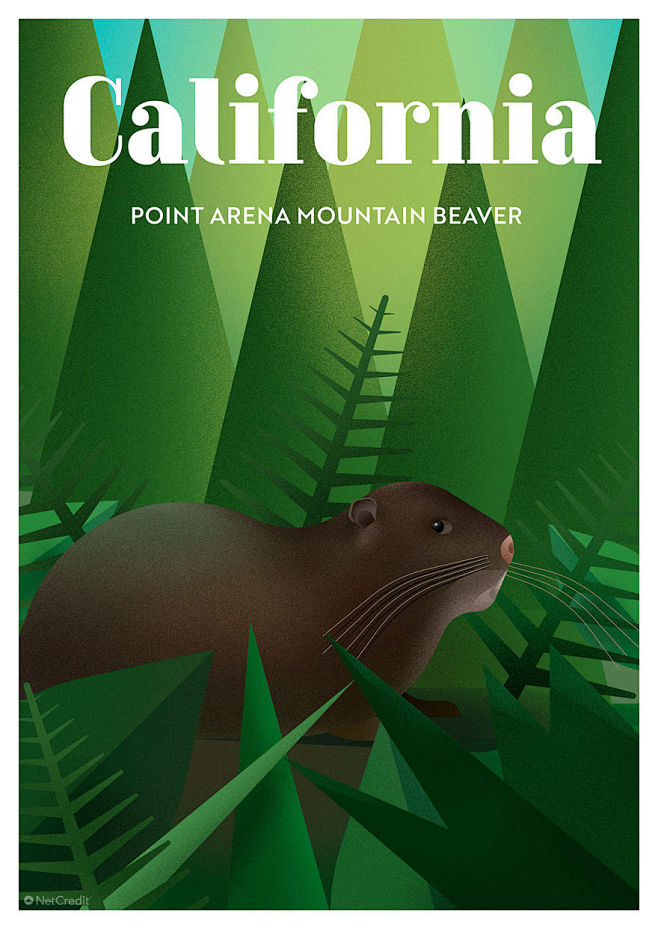 netcredit濒临灭绝的动物噪点插画设计作品2