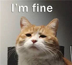 我很好猫咪表情包