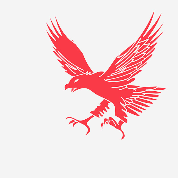 红色老鹰