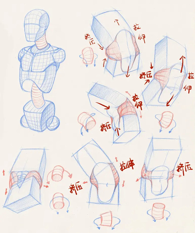 新手绘画教程腰部不会画是时候让你的人物亮出小蛮腰了