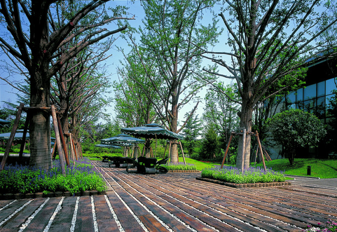 西安林隐天下休息平台