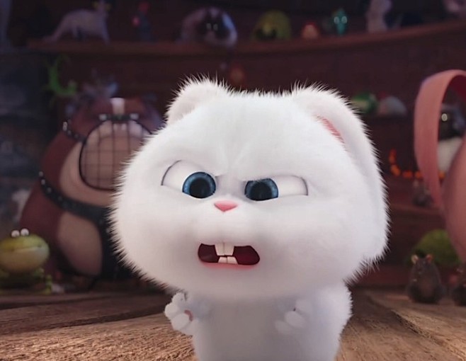 爱宠大机密兔子