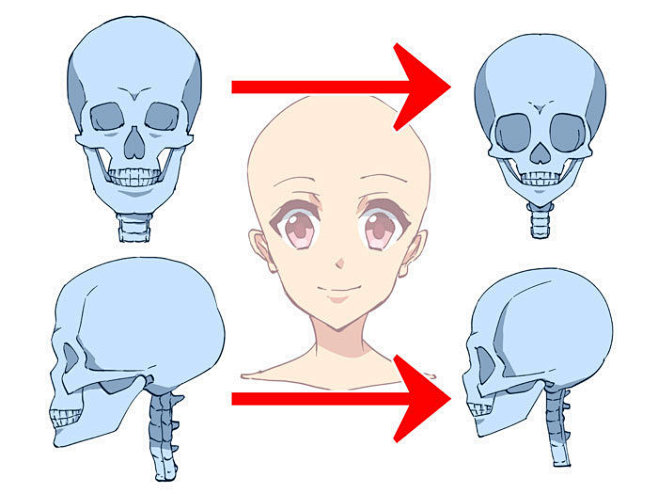 人体素材五官参考人体参考头部结构