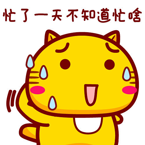 哈咪猫每天都很忙