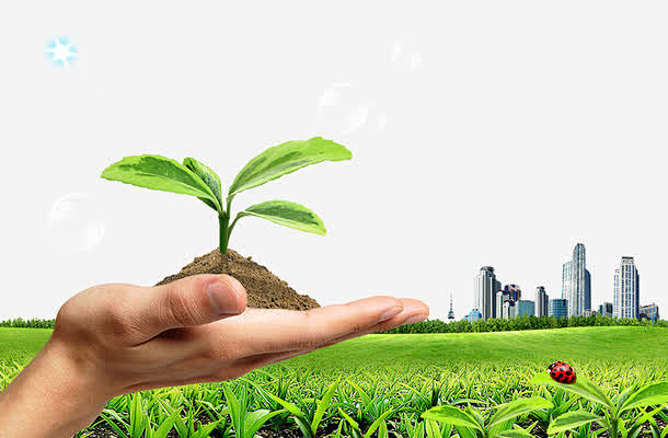 手中树苗高清素材保护环境环境环境保护宣传免抠png设计图片免费下载