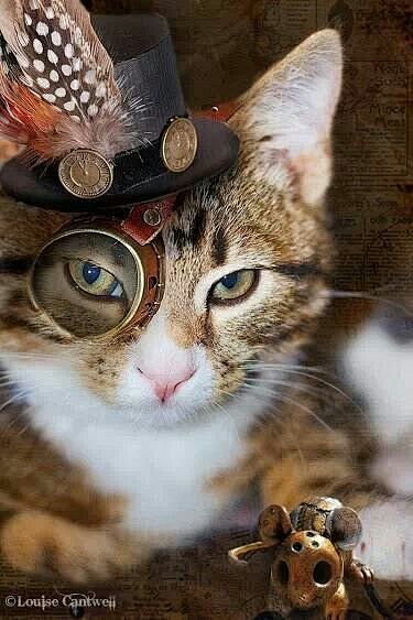 蒸汽朋克猫