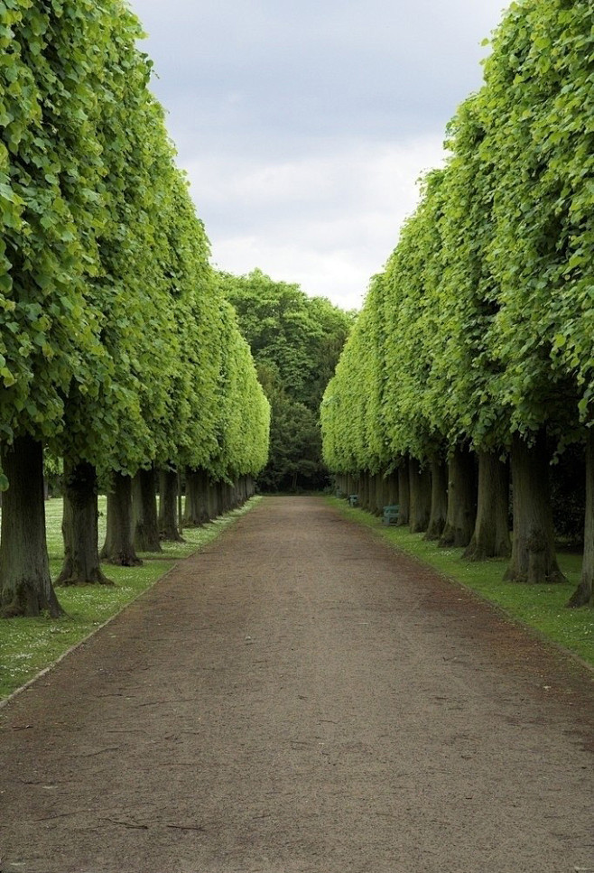 昊昊然从夜梦城转采于2015-09-03 05:41:21绝美林荫大道唯美自然---道