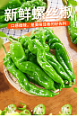 【蔬菜】螺丝椒1Kg/份 新加坡本地发货-淘宝网