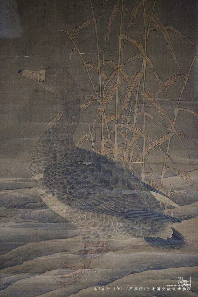 2016921台北国立故宫博物院宋崔白传芦雁图画的很细每根羽毛都交代的