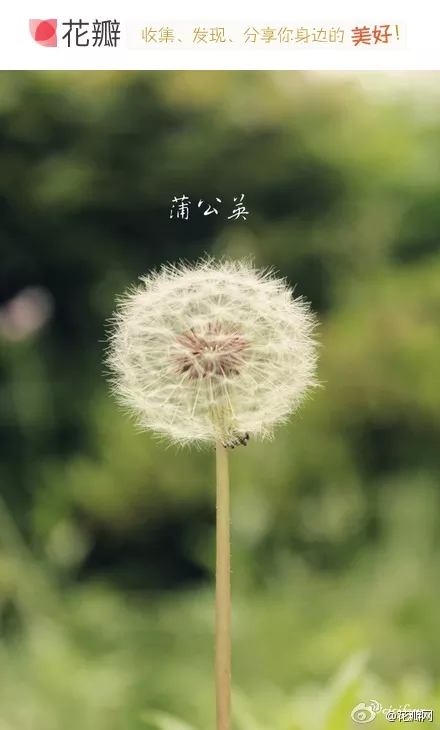 幸福`卟＋糖