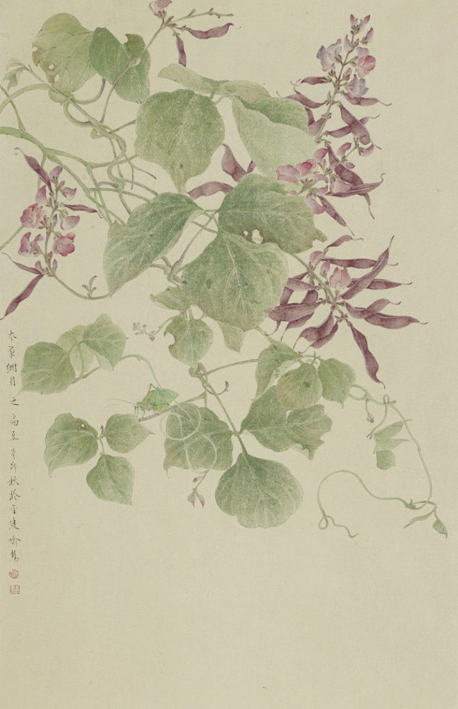 16:38:06喻慧工笔花卉《本草纲目》专题系列b手绘-本草,植物因为我