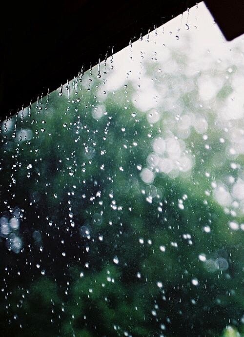 最美的不是下雨天是曾与你躲过雨的屋檐