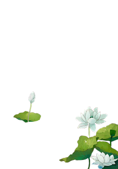 荷叶-花瓣网|陪你做生活的设计师 | te