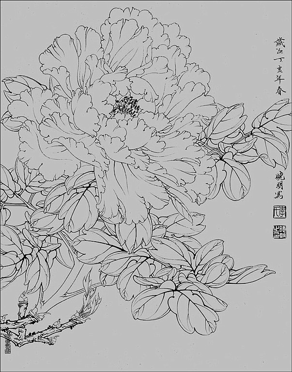 名家白描花鸟之牡丹篇