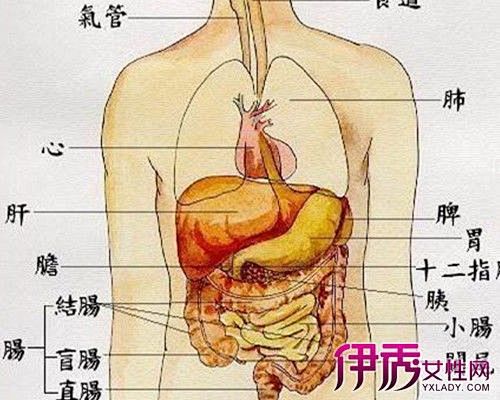 点击查看源网页