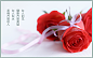 玫瑰花广告背景设计PSD分层素材