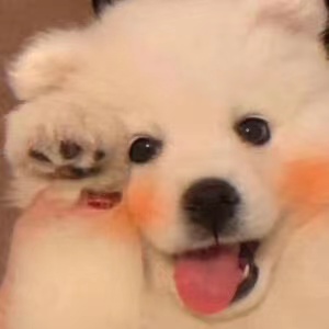 白日依山尽_