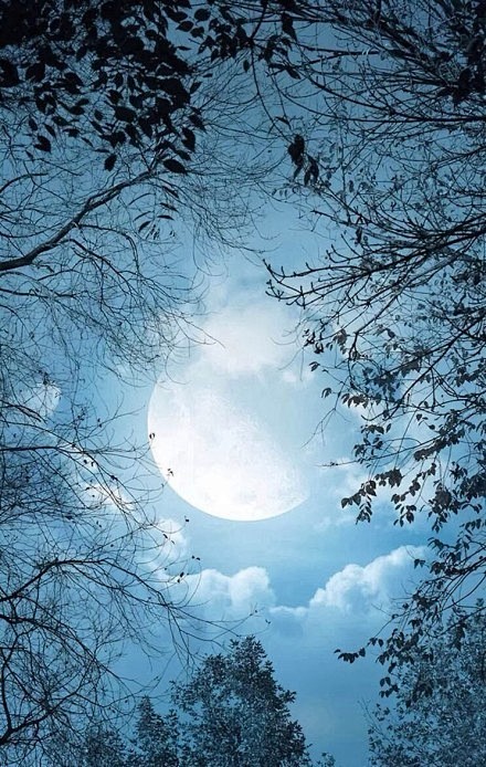 唯美月亮图片梦幻月亮图片大全