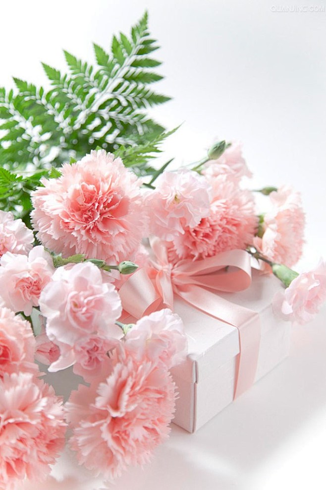 母亲节粉色康乃馨花朵装饰素材