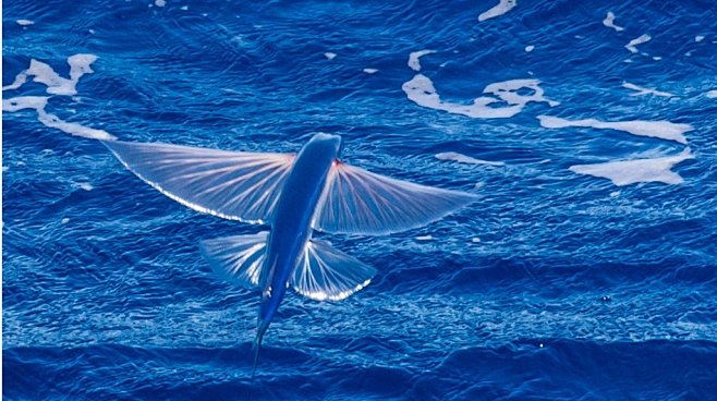 二年级学生厌学哪家教育的好(今日更新中)-〖上海关兴教育