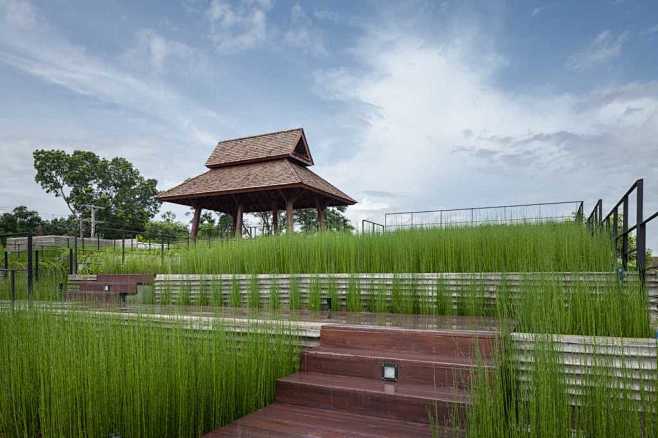 清迈递进式稻田景观建筑asalannacentersomdoonarchitects–mooool