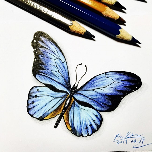 超美蝴蝶彩铅画手绘教程美丽的蝴蝶简单画新人也可以上手2图片12p优