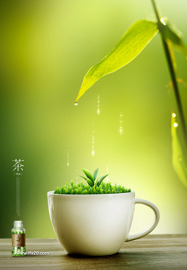 创意文化茶叶茶园花茶绿色叶子文化海报